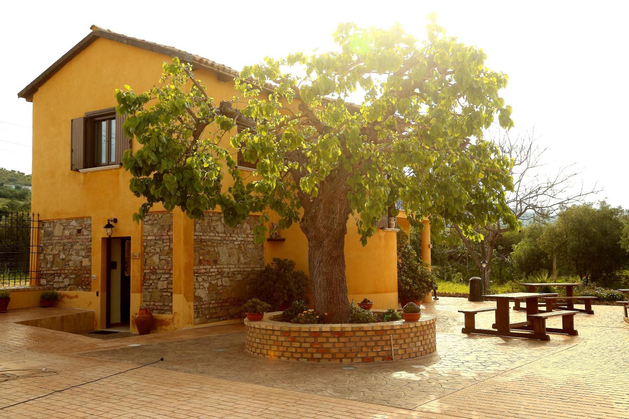 Al Grande Gelso Villa Cariati Oda fotoğraf