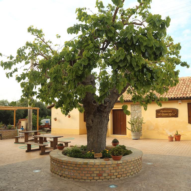 Al Grande Gelso Villa Cariati Dış mekan fotoğraf
